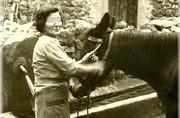Le mulet (le miul) à la fontaine de la Carrière - 1951