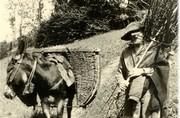 L'âne avec les aigors vides.L'homme ramène un fagot de bois - 1951