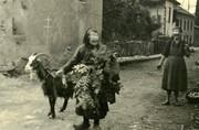 La grand-mère et sa chèvre - 1951