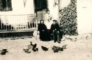 Les poules (galhinos) picorent dans la cour - 1935