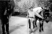 Retour des champs -1963