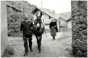 Equipage se rendant au bois (ana cerca lhenlo al bosc) - 1965