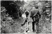 L'âne tire deux grumes de frêne (frèiche) - 1965