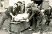 Autour du cochon mort - 1961