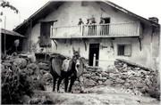 Transport du fumier (le fens dins las aigors) - 1959