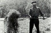 Le faneur en action (avec le fourcadèlh)- 1978