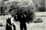 Transport d'un faix de foin (fèich d'èrbo) - 1965