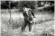 Faucheur (dalhaire) en action - 1965