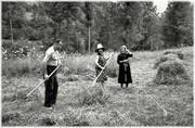 L'herbe sèche est mise en bas (moudoulous) -1965