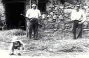 Dépiquage au fléau (al frajèlh) - 1956