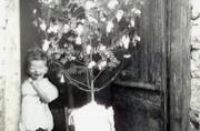 Le sapin de Noël - 1949