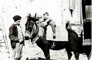 Un jeune cavalier (cabalhè) - 1974