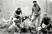 Tableau de chasse (càsso): chasseurs (cassaires), chiens (gousses), sangliers (sangliès) - 1973